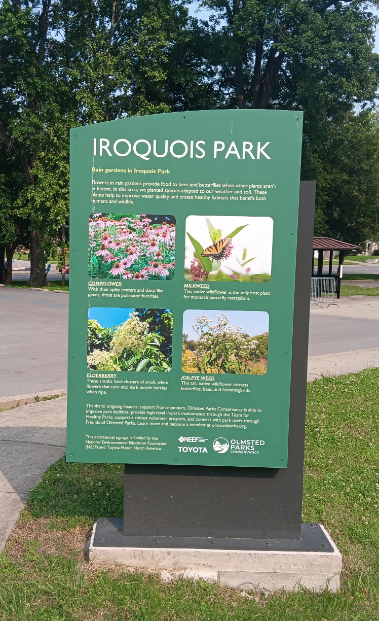 The Iroquois Park Rain Garden: A Natural Entrance Worth Noticing